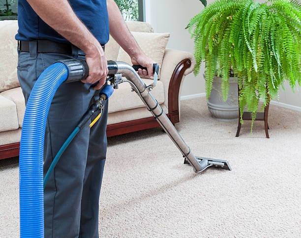 10 Common Carpet Stains and How to Remove Them